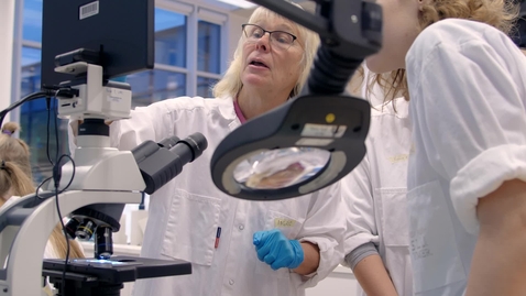 Thumbnail for Ingrid Hansson - professor i veterinärmedicinsk bakteriologi / Ingrid Hansson - professor of veterinary bacteriology