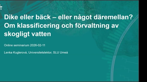 Thumbnail for Webinarium: Dike eller bäck - eller något däremellan? 11 februari 2026