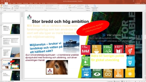 Thumbnail for Tips för en bättre Powerpoint-presentation