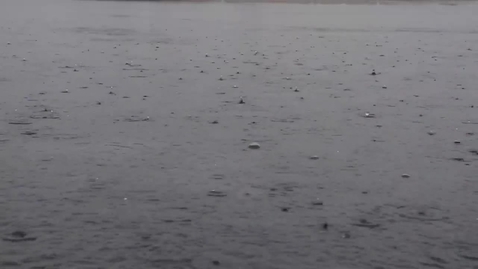 Thumbnail for Fatta forskningen med Carola Wingren - Översvämningarna