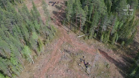 Thumbnail for Future Forests exkursion vid Svartberget - 2 juni 2022