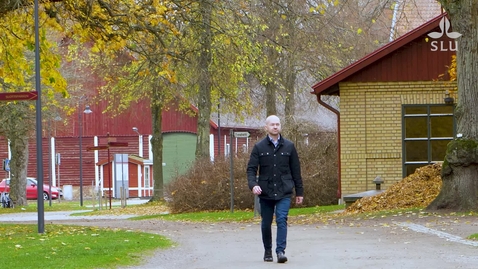 Thumbnail for Kes McCormick – professor i företagsutveckling och innovation vid SLU