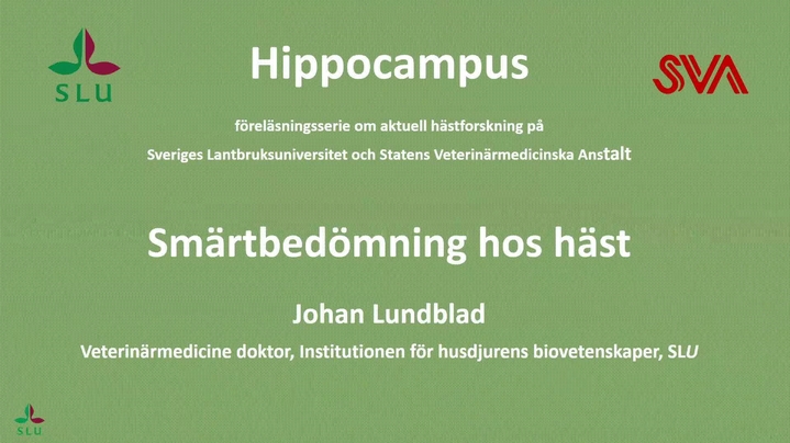 Thumbnail for channel Hippocampusdagen