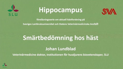 Thumbnail for 2025:Smärtbedömning hos häst, Johan Lundblad