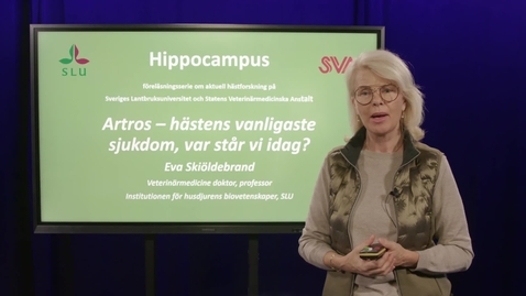 Thumbnail for Artros - hästens vanligaste sjukdom, Eva Skiöldebrand