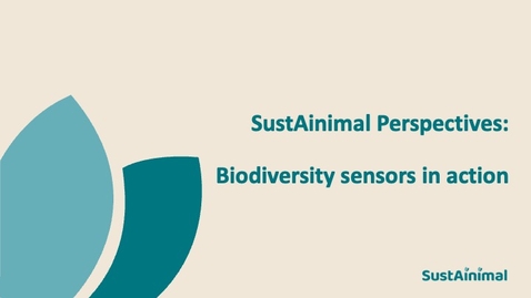 Thumbnail for SustAinimal Perspectives – Biodiversity sensors in action