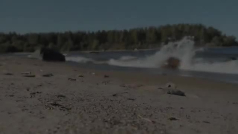 Thumbnail for Skogen och vattnet (svenska)