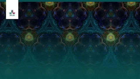 Thumbnail for Dåvarande rektor Peter Högberg om SLU 40 år