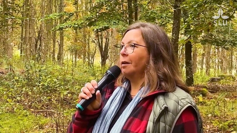 Thumbnail for Emma Holmström – professor i skogsskötsel med inriktning mot skogsskötselsystem vid SLU