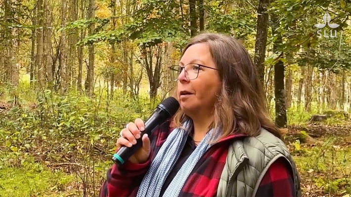 Emma Holmström – professor i skogsskötsel med inriktning mot skogsskötselsystem / professor of silviculture