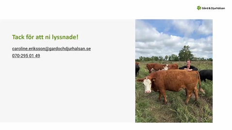 Thumbnail for Djurgårdarnas väg framåt, reflektion och diskussion