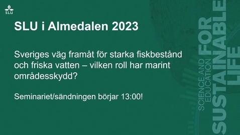 Thumbnail for Sveriges väg framåt för starka fiskbestånd och friska vatten – vilken roll har marint områdesskydd