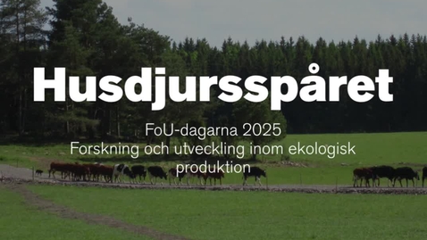 Thumbnail for Husdjursspåret vid FoU-dagarna 2025