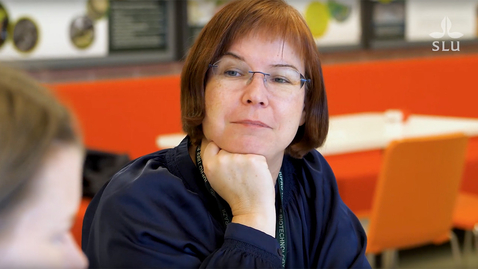 Thumbnail for Malin Elfstrand - professor i skogspatologi vid SLU / Malin Elfstrand – professor of forest pathology at SLU