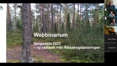 Thumbnail for Skogsdata 2023. Ny statistik från Riksskogstaxeringen. Tema gammal skog.