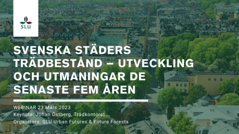 Thumbnail for Urban Forests 10 - Svenska städers trädbestånd – utveckling och utmaningar de senaste fem åren - Johan Östberg