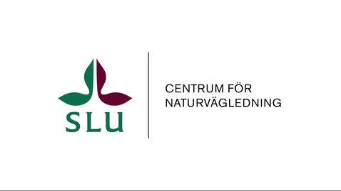 Thumbnail for Gökotta bokspecial: De små landen – i Elin Wägners fotspår av Josefine Gustafsson  Webbinarium  3 oktober 2024 SLU Centrum för naturvägledning