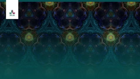 Thumbnail for Filmen om SLU 40 år