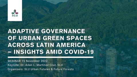 Thumbnail for Urban Forests 08 - Adaptive governance of urban green spaces across Latin America – Insights amid COVID-19