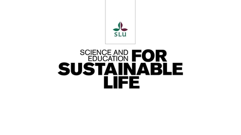 Thumbnail for How to make an academic poster