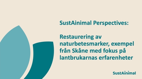 Thumbnail for SustAinimal Perspectives – Restaurering av naturbetesmarker, exempel från Skåne med fokus på lantbrukarnas erfarenheter