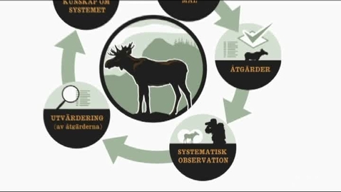 Thumbnail for Systematiska observationer, inventeringsmedtoder och utvärdering av åtgärder - två exempel
