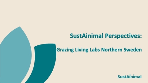 Thumbnail for SustAinimal Perspectives on Grazing Living Labs Northern Sweden