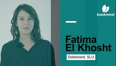 Entry thumbnail. Go to Möt doktorand Fatima El Khosht från SustAinimal Academy with duration: 3 minutes, 14 seconds