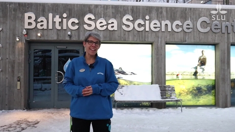 Thumbnail for Följ med under ytan till Baltic Sea Science Center