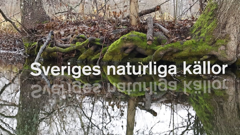 Thumbnail for Hur går det för Sveriges naturliga källor?