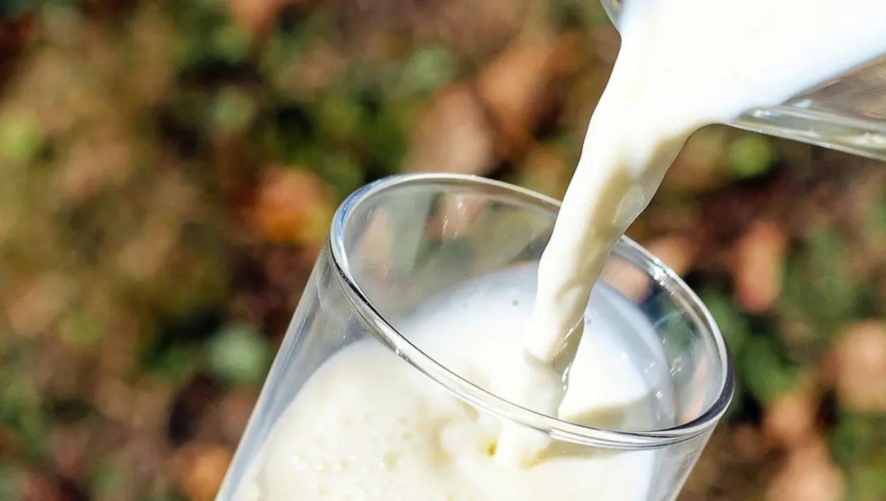 Mjölkveckans konferensdag