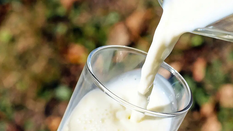 Thumbnail for Mjölkveckans konferensdag