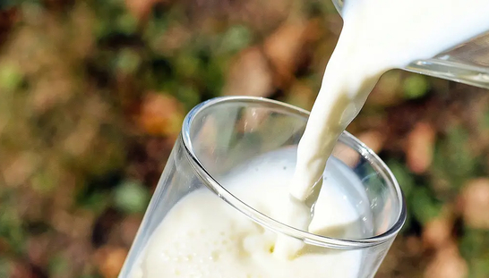 Mjölkveckans konferensdag