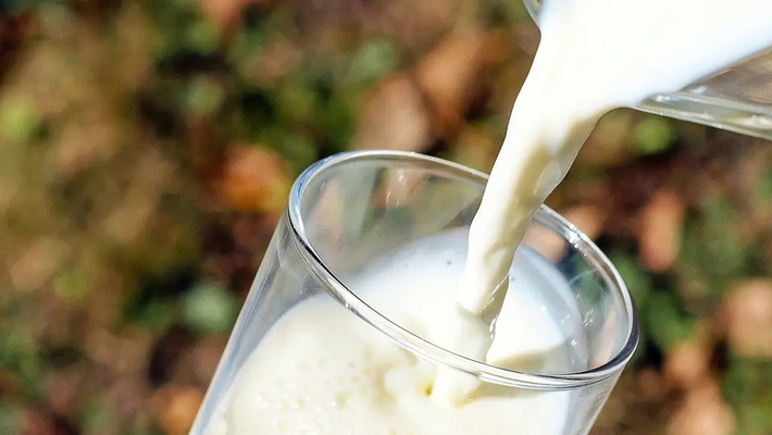 Mjölkveckans konferensdag