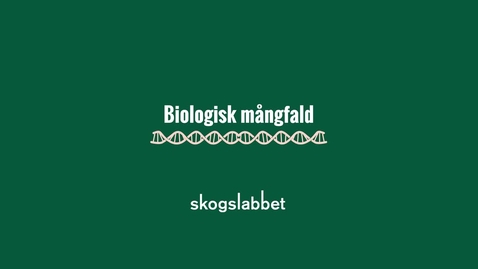 Thumbnail for Skogslabbet infografik: Biologisk mångfald