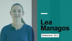 Entry thumbnail. Go to Möt doktorand Lea Managos från SustAinimal Academy with duration: 3 minutes, 26 seconds