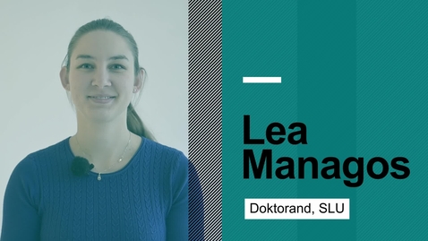 Thumbnail for Möt doktorand Lea Managos från SustAinimal Academy