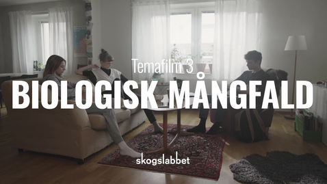 Thumbnail for Temafilm 3: Biologisk mångfald - myggor, helt onödiga!?