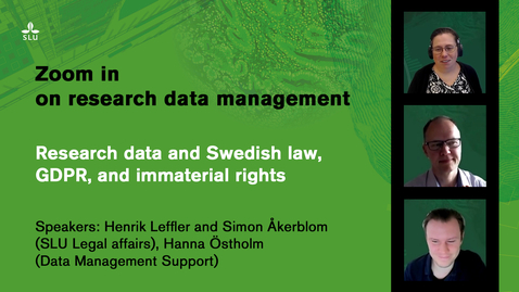 Thumbnail for Webinar: Research data and Swedish law, GDPR, and immaterial rights