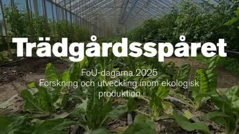 Thumbnail for Trädgårdsspåret vid FoU-dagarna 2025