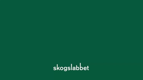 Thumbnail for Tävlingsskogen