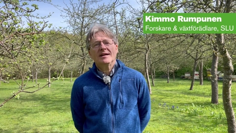 Thumbnail for Must-SM 2025 - intervju med Kimmo Rumpunen