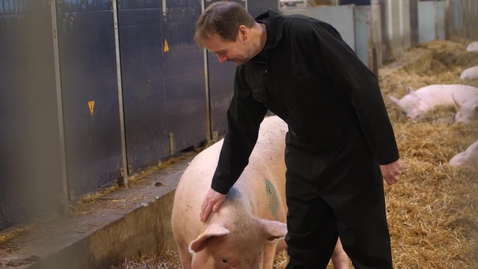 Thumbnail for Jens Malmkvist, professor i tillämpad etologi / Jens Malmkvist, professor of applied ethology