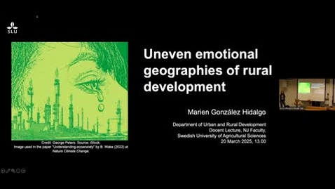 Thumbnail for Docent lecture NJ VT2025-Marien González-Hidalgo