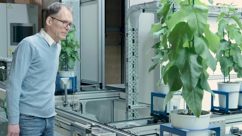 Thumbnail for Totte Niittylä - professor i växtfysiologi / Totte Niittylä - professor of plant physiology