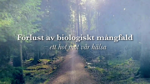 Thumbnail for Frauke Ecke: &quot;Sluta spela ut klimat mot biologisk mångfald – vi behöver se helheten&quot; (10:03 min)