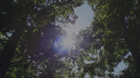 Thumbnail for Fatta forskningen med Malin Elfstrand - Askskottsjukan