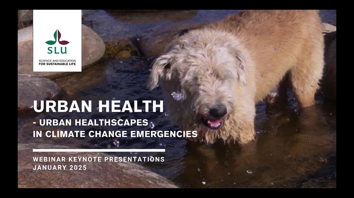 Thumbnail for channel SLU Future One Health