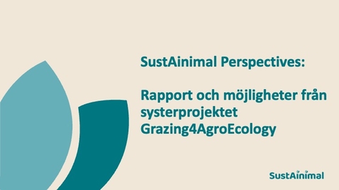 Thumbnail for SustAinimal Perspectives – rapport och möjligheter från systerprojektet Grazing4AgroEcology