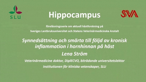 Thumbnail for Synnedsättning och smärta p g a inflammation i hornhinnan hos häst, Lena Ström